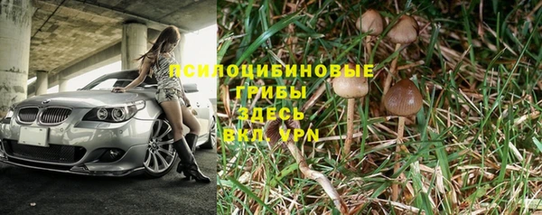 mdpv Армянск