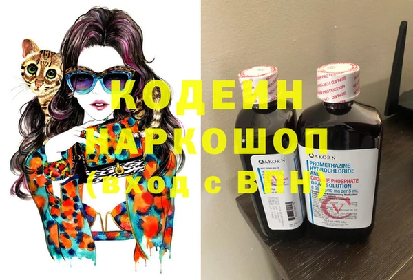 СК Пересвет