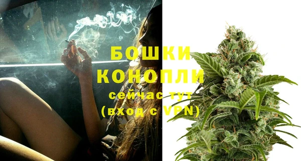 прущий лед Арсеньев
