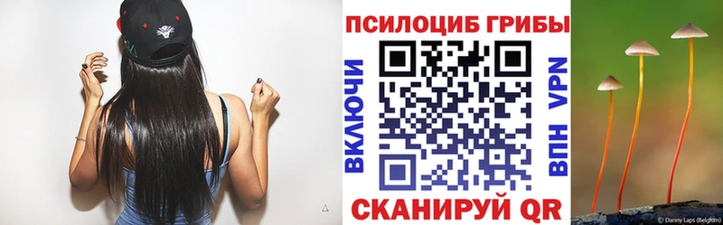 Галлюциногенные грибы Psilocybe  купить наркотики сайты  Тара 